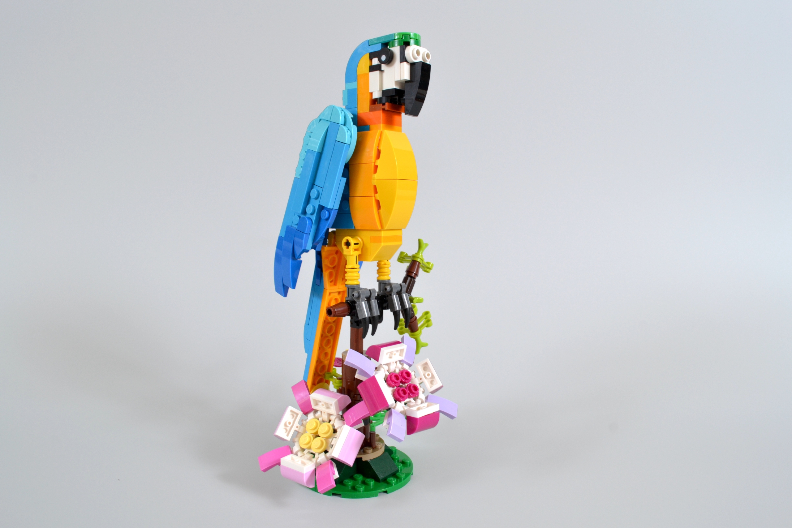 LEGO Creator 3-in-1 31136 Exotic Parrot review gallery