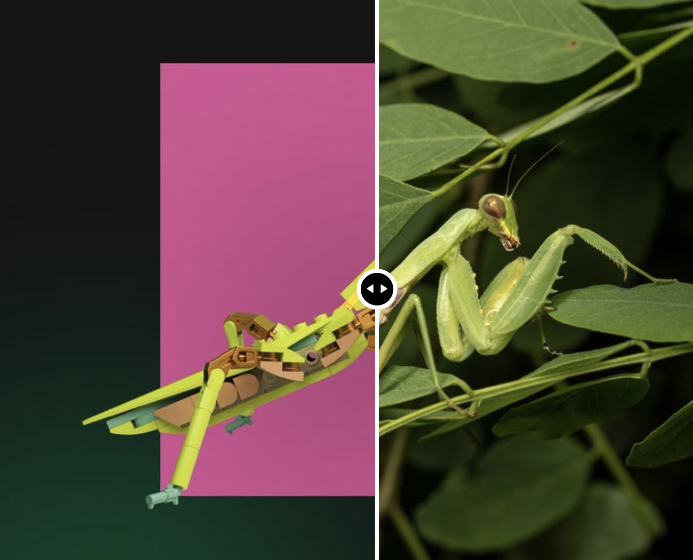 Opinions Are Divided On If LEGO Insects Are Creepy Or Cute opinions-are-divided-on-if-lego-insects-are-creepy-or-cute